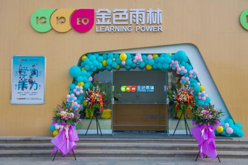 雨林 金色雨林-注意力学习_儿童教育优质品牌
